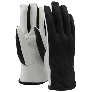 Essential 1860 Winter