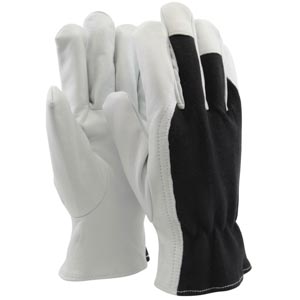 Essential 1880 Winter